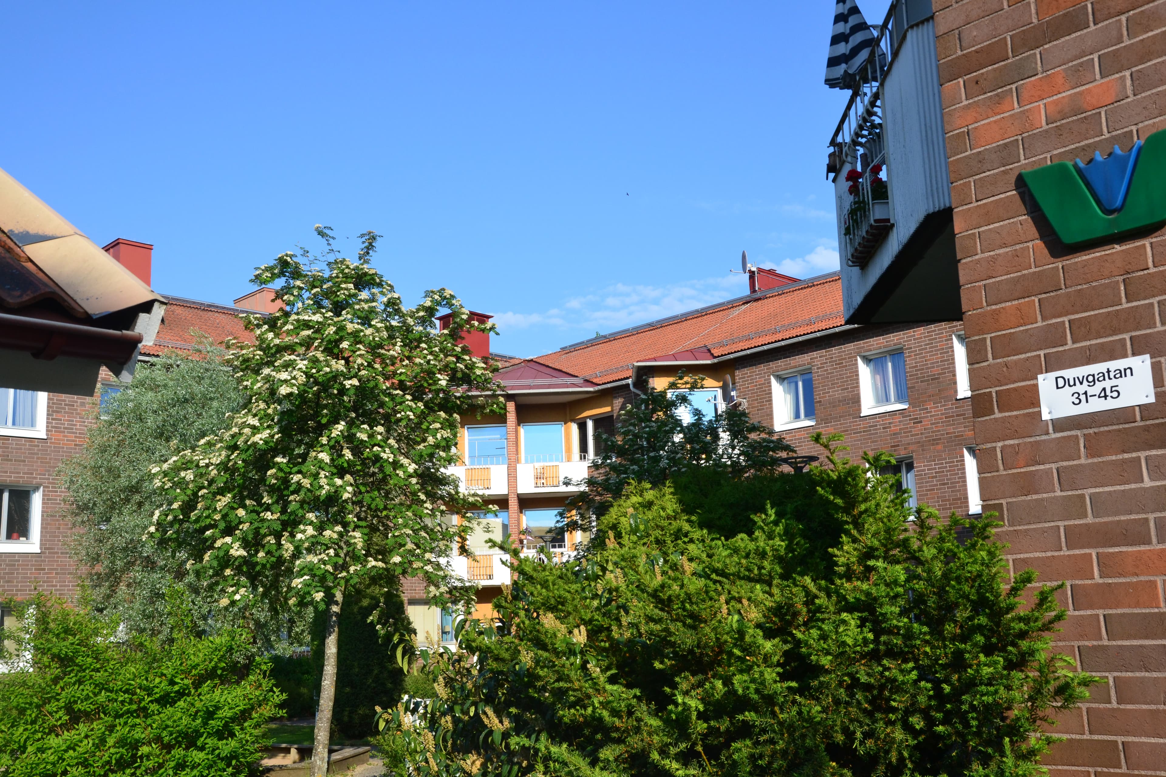 Duvgatan 37 thumbnail 2