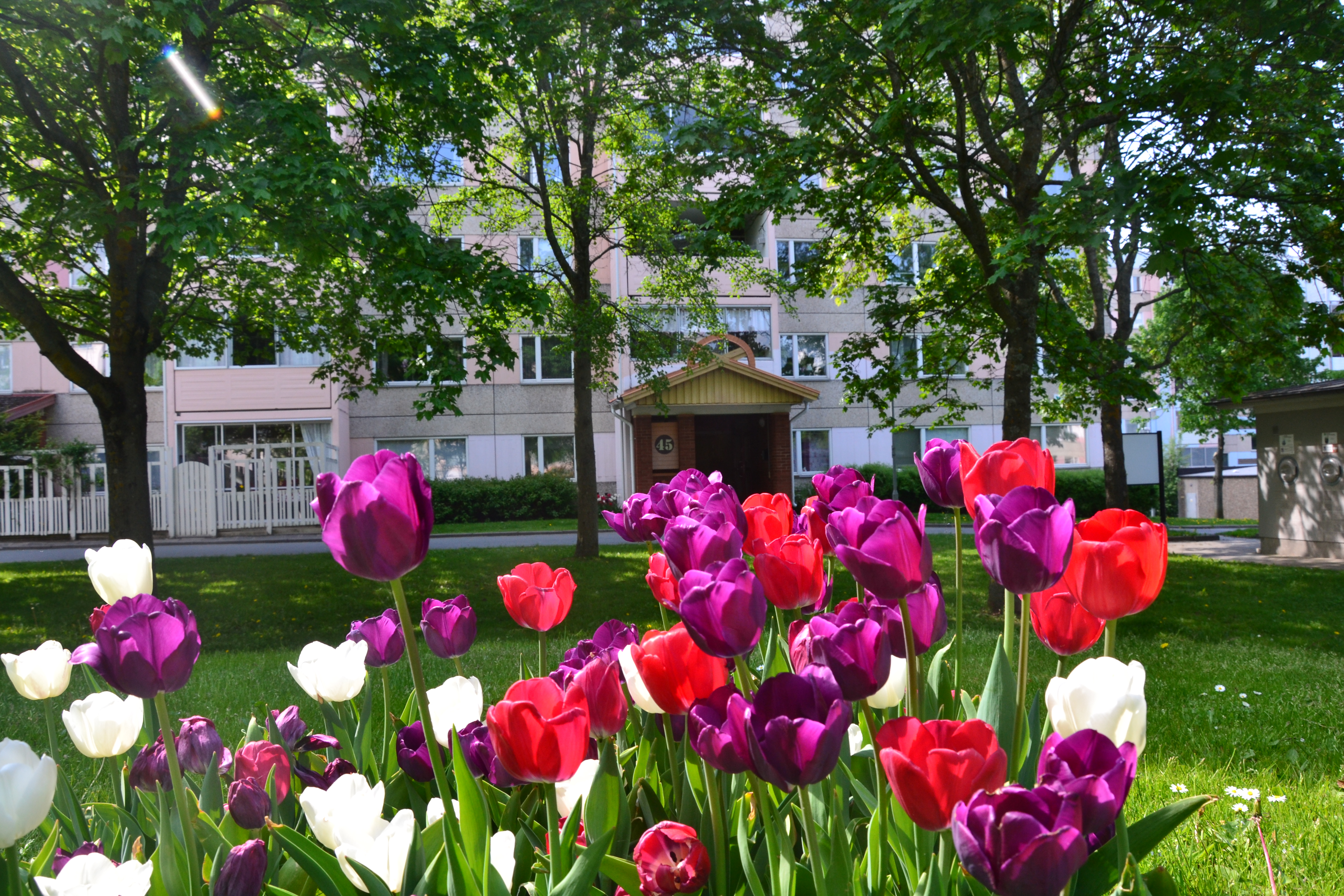 Havsörnsgatan 49