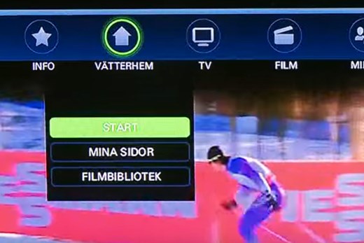 Skärmbild från TV