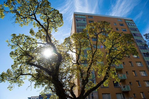 Gult tegelhus med träd i förgrunden och solen som lyser igenom