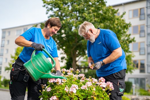 Två medarbetare tar hand om blommorna