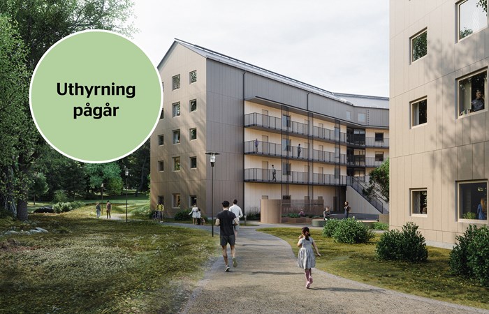 Slåttertiden